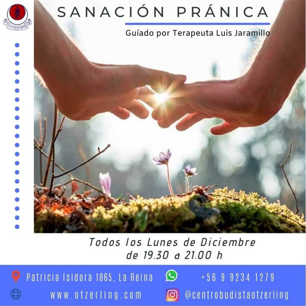 Sanacion Pranica Grupal